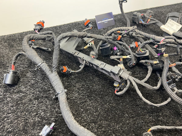 Porsche 911 991 4.0 GT3 RS Engine Wiring Harness