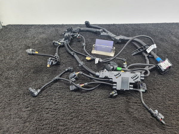 BMW 4 Series (F32) 3.0 B58B30A Sensor Module 2 Wiring Harness