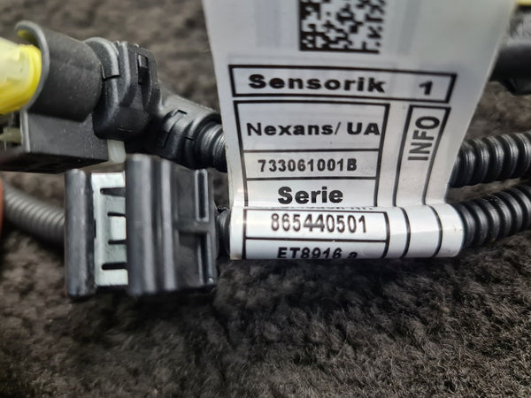 BMW X5 (G05) 3.0 B58B30C Motor Kabelboom Sensorik 1