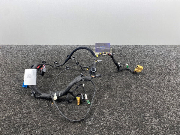 Porsche Panamera (971) Door Wiring Harness Driver Side 971971161BT