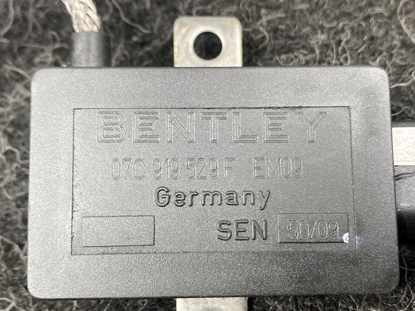 Bentley Continental GT 6.0 W12 Abgastemperatursensor 07C919529F