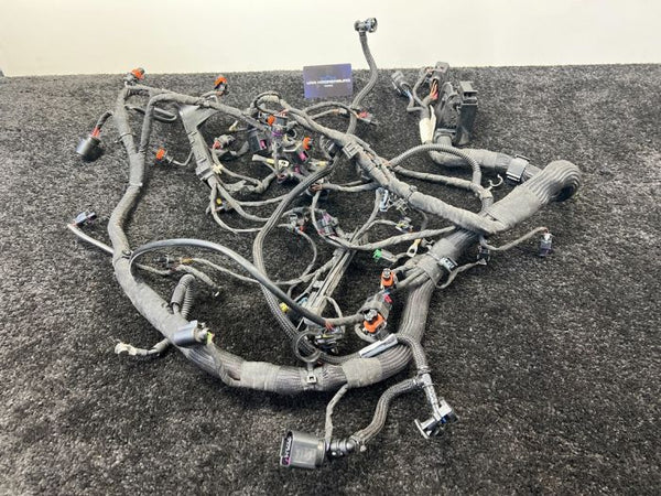 Porsche 911 991 4.0 GT3 RS Engine Wiring Harness