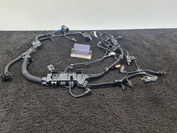 BMW 4 Series (F32) 3.0 B58B30A Sensor Module 2 Wiring Harness