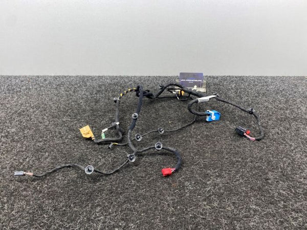 Porsche Panamera (971) Door Wiring Harness Driver Side 971971161BT