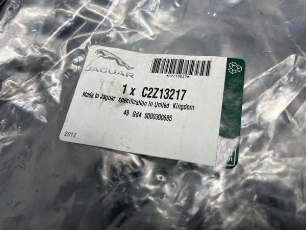 Jaguar XF (X250) Stoßstangengrill, neuer OEM!