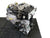 VW Audi Seat Skoda 1.4 TSI 125/150PK CZD-Motor