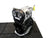 VW Golf 7R Audi S3 2.0TFSI 290/310PK DJH Motor Gereviseerd