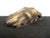 Lamborghini Gallardo V10 Exhaust Manifold Right