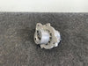 VW Audi Seat 1.4 TDI Wasserpumpe Original 1km